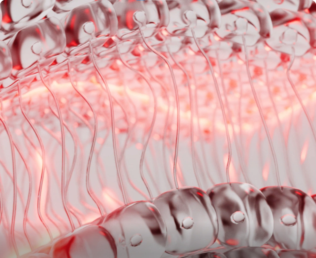 When CCO absorbs light, it boosts ATP production, fueling the electron transport chain to convert oxygen and nutrients into energy.