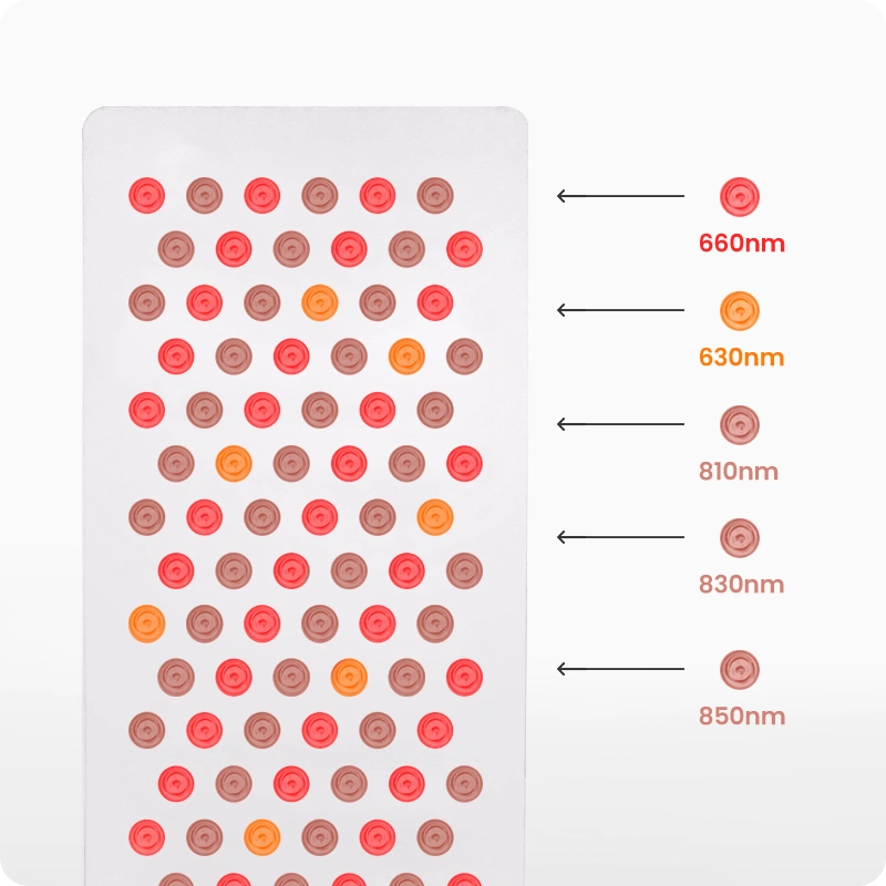VivaELITE 900 | Red Light Therapy Panel Series
